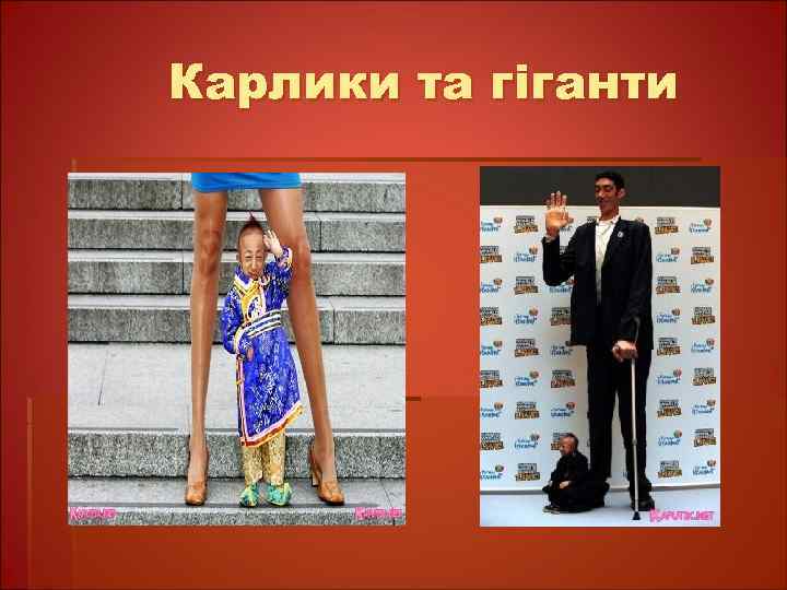 Карлики та гіганти 