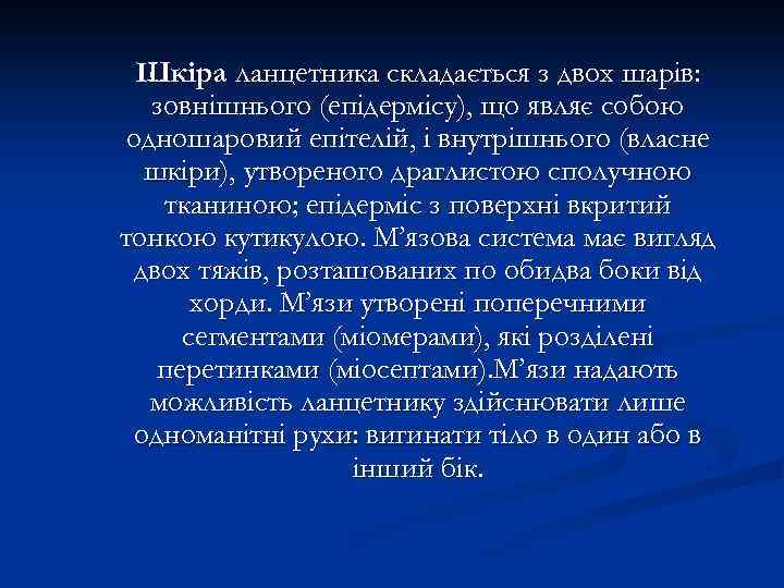 Шкіра ланцетника складається з двох шарів: зовнішнього (епідермісу), що являє собою одношаровий епітелій, і