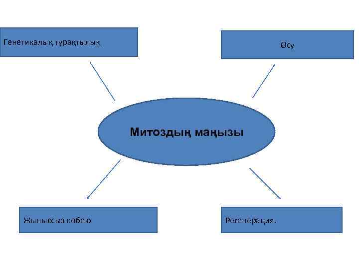 Генетикалық тұрақтылық . Митоздың маңызы Жыныссыз көбею Регенерация. Өсу 