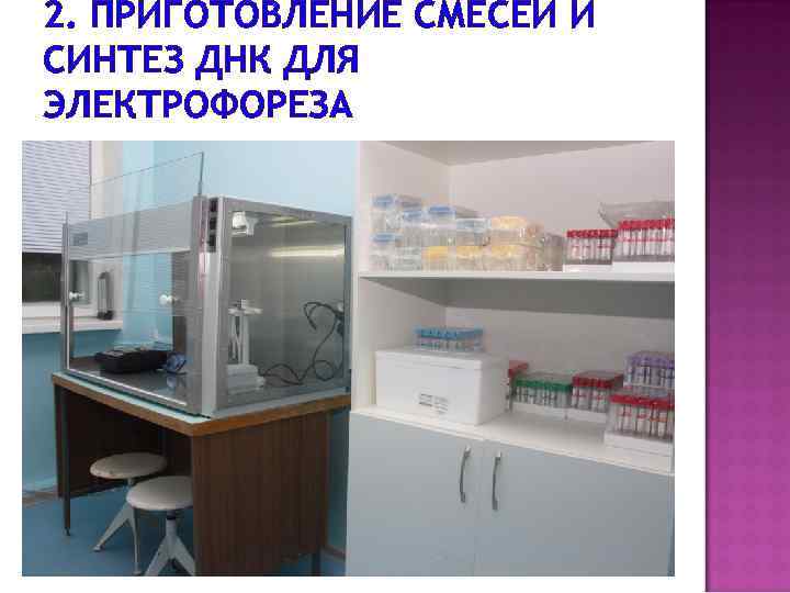 2. ПРИГОТОВЛЕНИЕ СМЕСЕЙ И СИНТЕЗ ДНК ДЛЯ ЭЛЕКТРОФОРЕЗА 