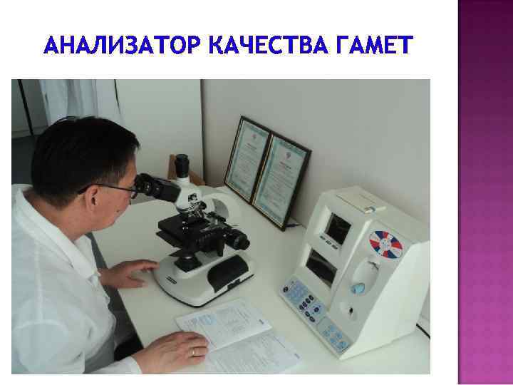 АНАЛИЗАТОР КАЧЕСТВА ГАМЕТ 