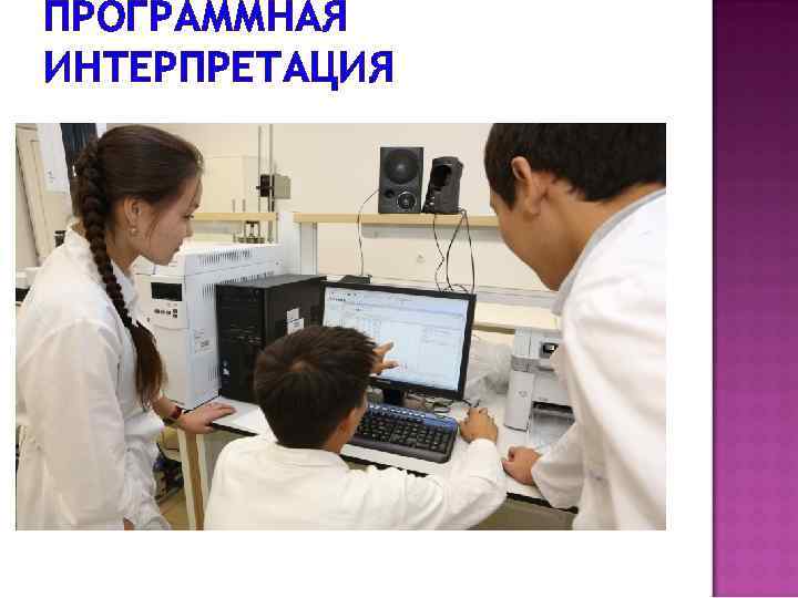 ПРОГРАММНАЯ ИНТЕРПРЕТАЦИЯ 