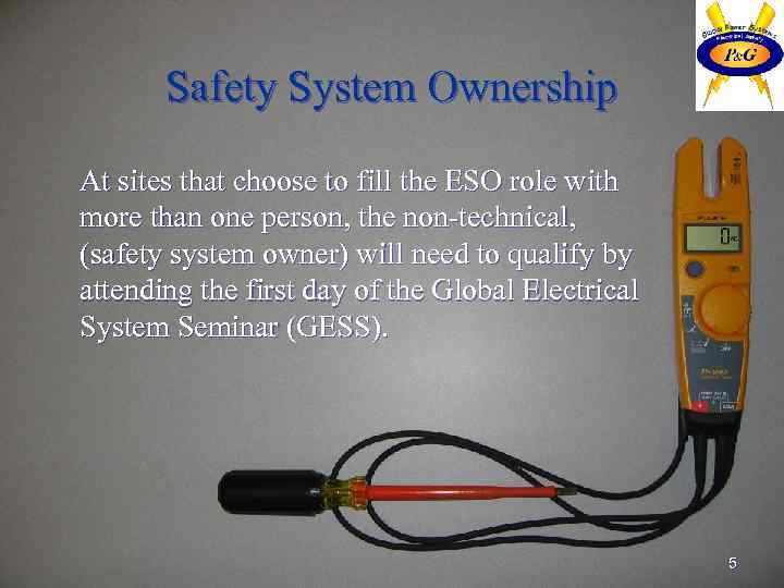 Safety System Ownership At sites that choose to fill the ESO role with more