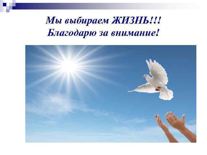 Мы выбираем ЖИЗНЬ!!! Благодарю за внимание! 