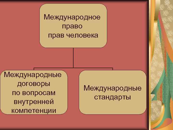 Международное право прав человека Международные договоры по вопросам внутренней компетенции Международные стандарты 