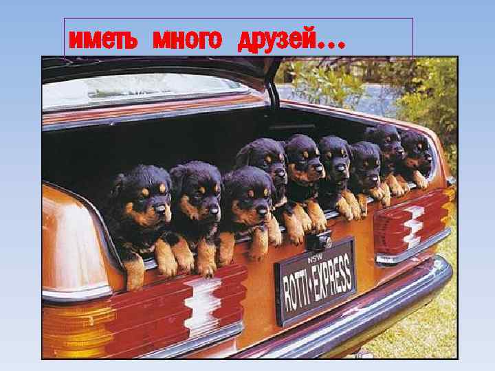 иметь много друзей… 