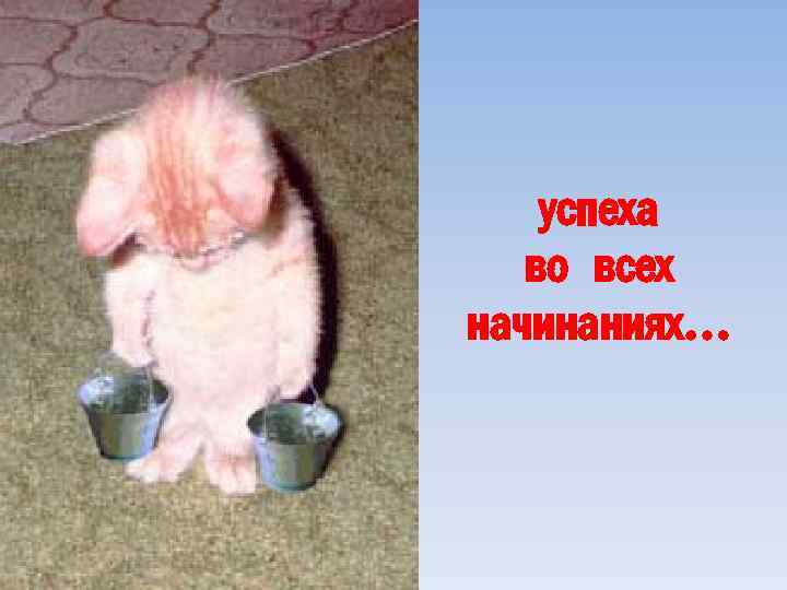 успеха во всех начинаниях… 