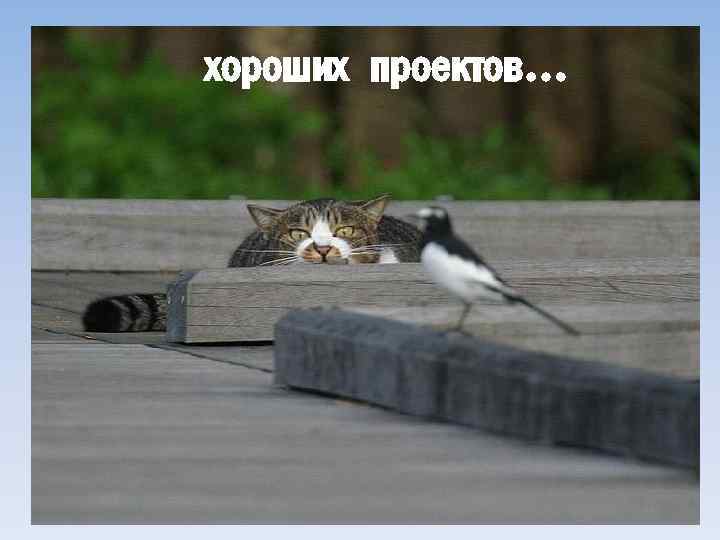 хороших проектов… 