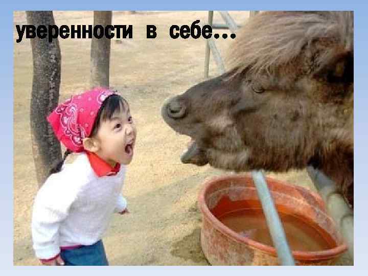 уверенности в себе… 
