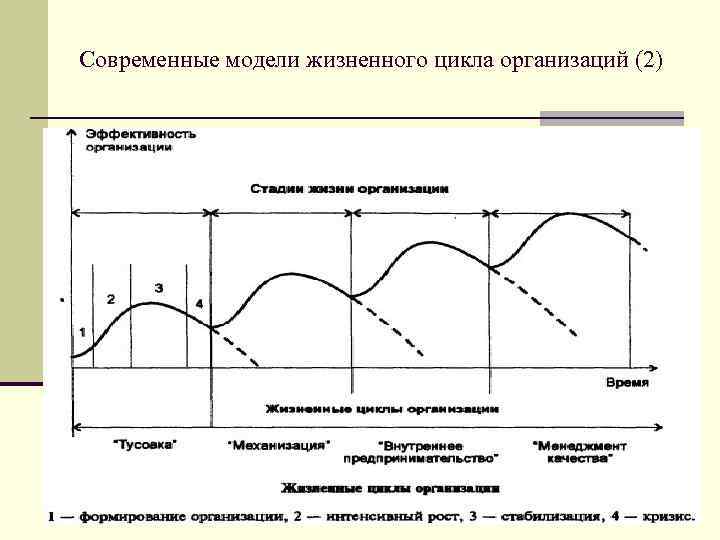 Современные модели жизненного цикла организаций (2) 