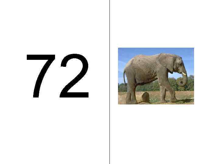 72 