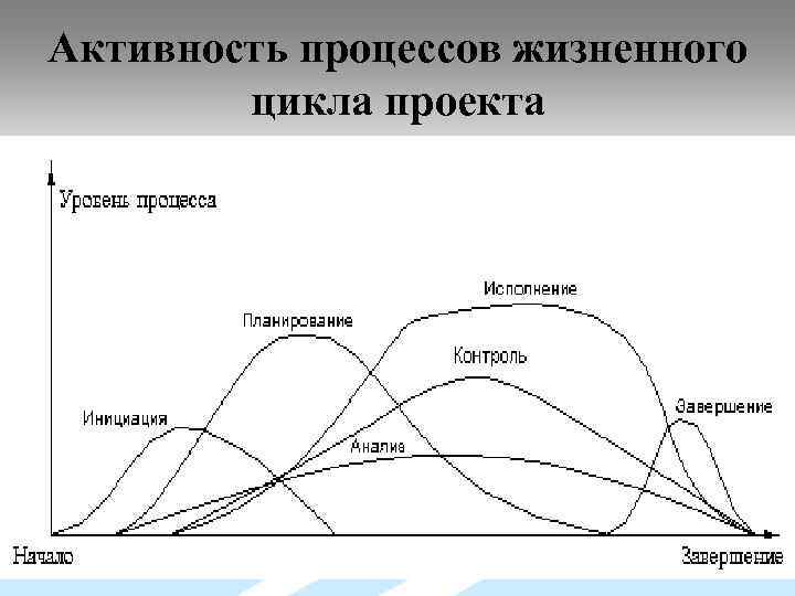 Активность процессов жизненного цикла проекта 49 
