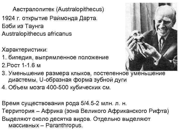 Австралопитек (Australopithecus) 1924 г. открытие Раймонда Дарта. Бэби из Таунга Australopithecus africanus Характеристики: 1.