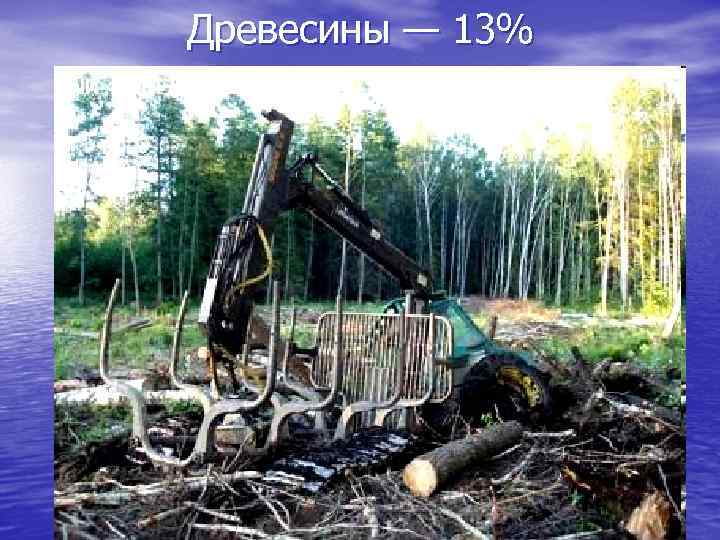 Древесины — 13% 