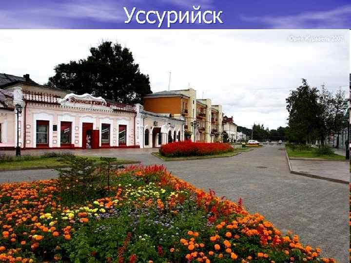 Кафе Сунтзуньх Уссурийск Фото Отзывы