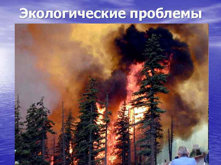 Экологические проблемы 