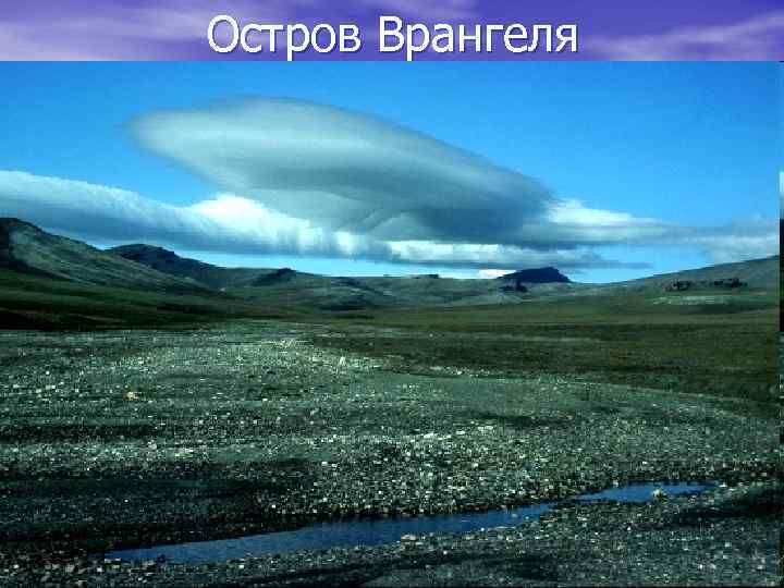 Остров Врангеля 