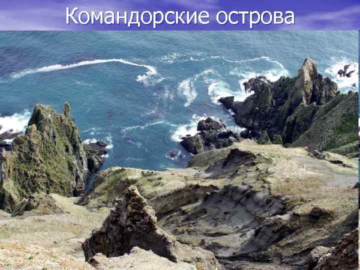 Командорские острова 