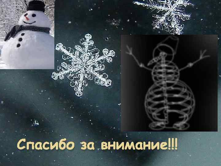 Спасибо за внимание!!! 