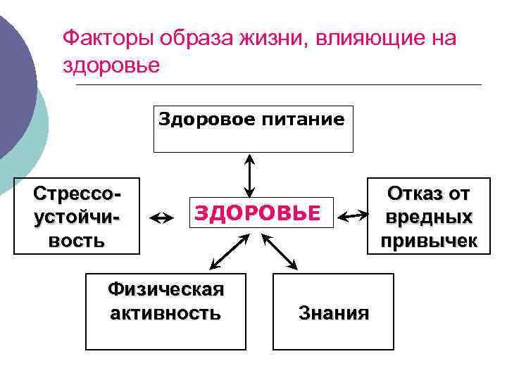  Факторы образа жизни, влияющие на здоровье Здоровое питание Стрессо- Отказ от устойчи- ЗДОРОВЬЕ