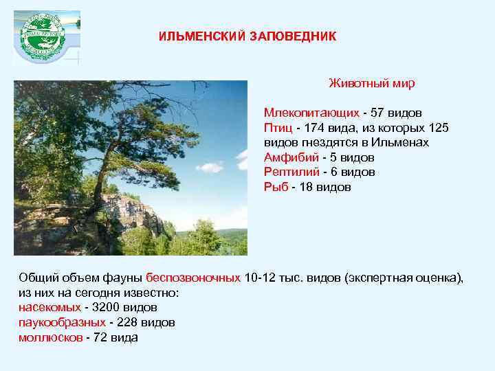 ИЛЬМЕНСКИЙ ЗАПОВЕДНИК Животный мир Млекопитающих - 57 видов Птиц - 174 вида, из которых
