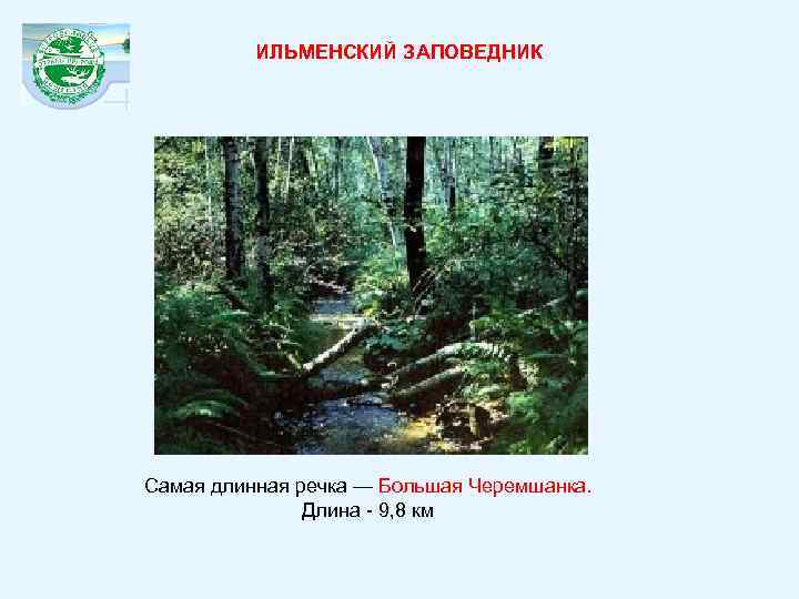 ИЛЬМЕНСКИЙ ЗАПОВЕДНИК Самая длинная речка — Большая Черемшанка. Длина - 9, 8 км 