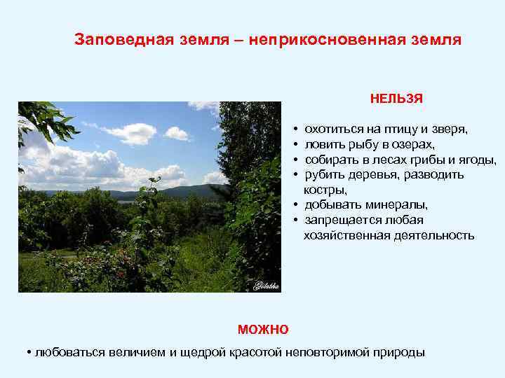 Заповедная земля – неприкосновенная земля НЕЛЬЗЯ • охотиться на птицу и зверя, • ловить