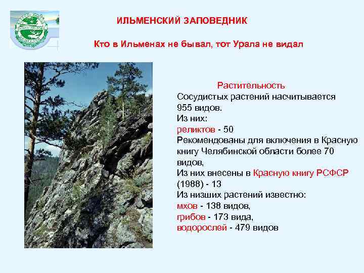 ИЛЬМЕНСКИЙ ЗАПОВЕДНИК Кто в Ильменах не бывал, тот Урала не видал Растительность Сосудистых растений