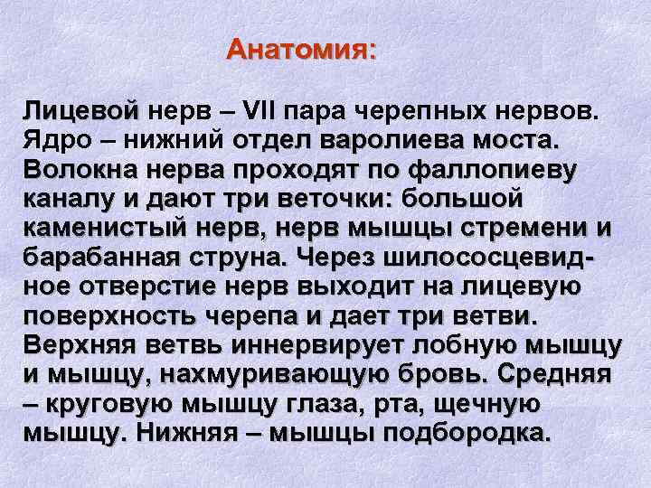 Анатомия: Лицевой нерв – VII пара черепных нервов. Ядро – нижний отдел варолиева моста.