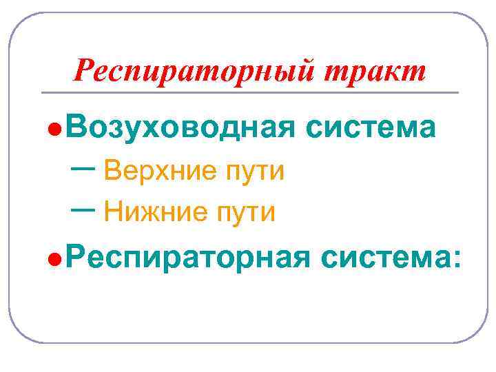 Респираторный тракт l Возуховодная – Верхние пути – Нижние пути система l Респираторная система: