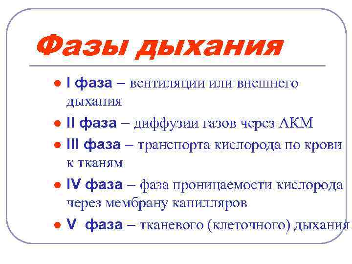 Фазы дыхания l l l I фаза – вентиляции или внешнего дыхания II фаза