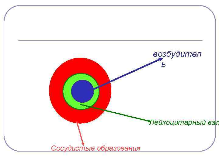возбудител ь Лейкоцитарный вал Сосудистые образования 