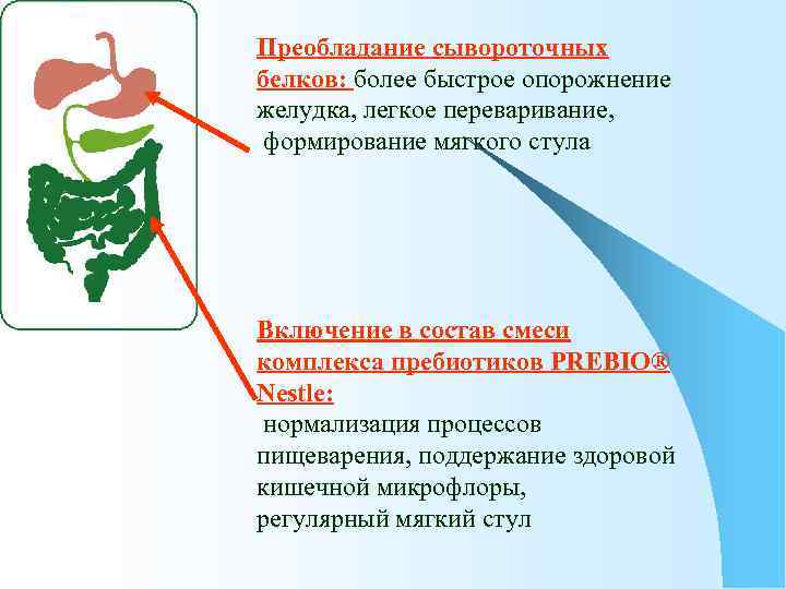 Преобладание сывороточных белков: более быстрое опорожнение желудка, легкое переваривание, формирование мягкого стула Включение в