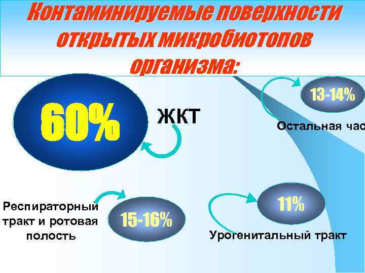 Контаминируемые поверхности открытых микробиотопов организма: 60% Респираторный тракт и ротовая полость 13 -14% ЖКТ