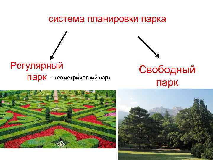 система планировки парка Регулярный парк = геометри ческий парк Свободный парк 