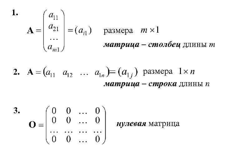 1. размера матрица – столбец длины m 2. размера матрица – строка длины n