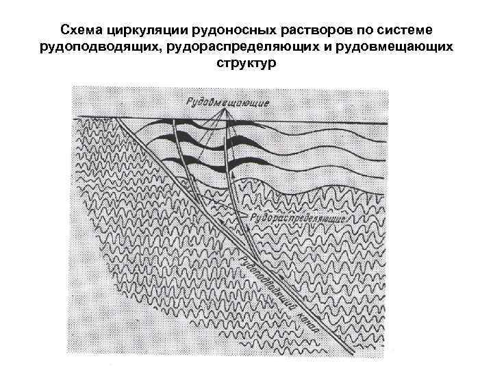 Схема циркуляции рудоносных растворов по системе рудоподводящих, рудораспределяющих и рудовмещающих структур 
