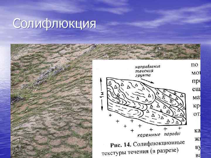 Солифлюкция 