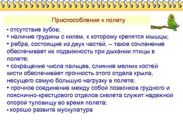 Приспособления к полету • отсутствие зубов; • наличие грудины с килем, к которому крепятся
