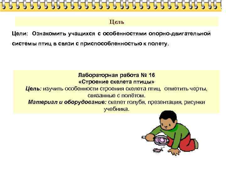 Цель Цели: Ознакомить учащихся с особенностями опорно-двигательной системы птиц в связи с приспособленностью к