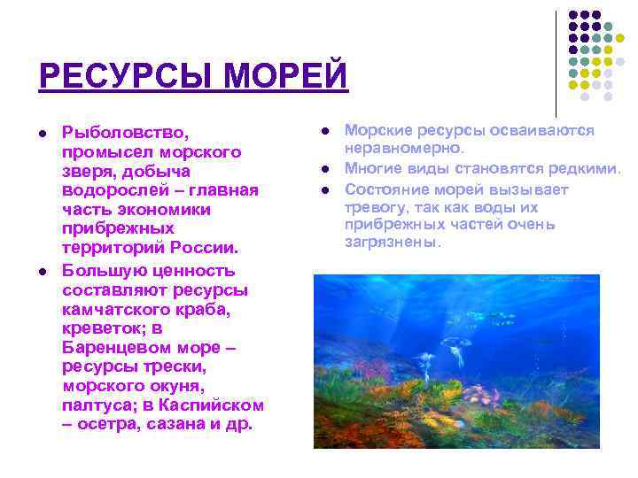 РЕСУРСЫ МОРЕЙ l l Рыболовство, промысел морского зверя, добыча водорослей – главная часть экономики
