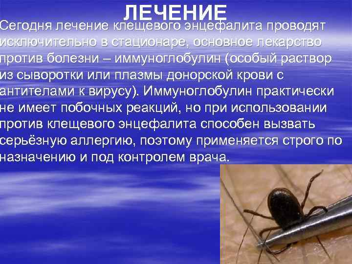 ЛЕЧЕНИЕ Сегодня лечение клещевого энцефалита проводят исключительно в стационаре, основное лекарство против болезни –