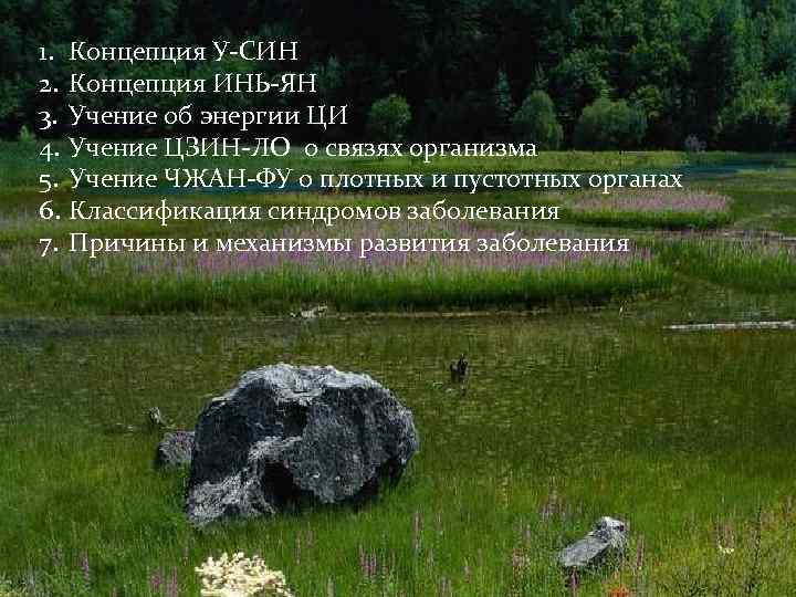 1. 2. 3. 4. 5. 6. 7. Концепция У-СИН Концепция ИНЬ-ЯН Учение об энергии