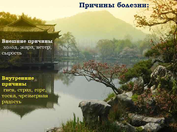 Причины болезни: Внешние причины холод, жара, ветер, сырость Внутренние причины гнев, страх, горе, тоска,