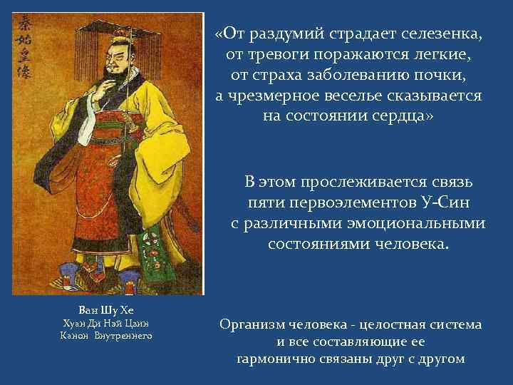  «От раздумий страдает селезенка, от тревоги поражаются легкие, от страха заболеванию почки, а