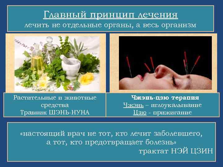 Главный принцип лечения лечить не отдельные органы, а весь организм Растительные и животные средства
