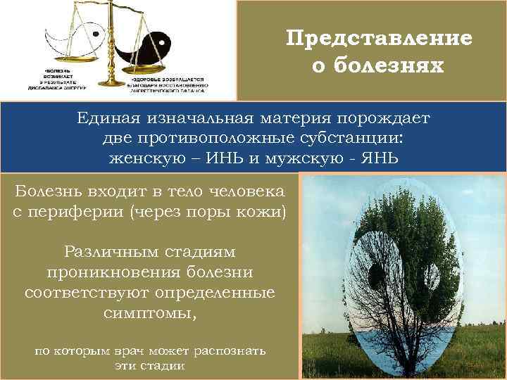 Представление о болезнях Единая изначальная материя порождает две противоположные субстанции: женскую – ИНЬ и