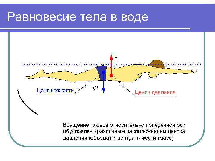 Равновесия давлений. Центр тяжести и центр давления. Гидростатическое равновесие тела пловца. Условие равновесия тела в воде. Центр тяжести равновесие.