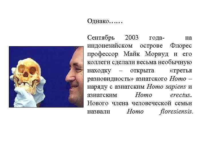 Однако…… Cентябрь 2003 годана индонезийском острове Флорес профессор Майк Морвуд и его коллеги сделали