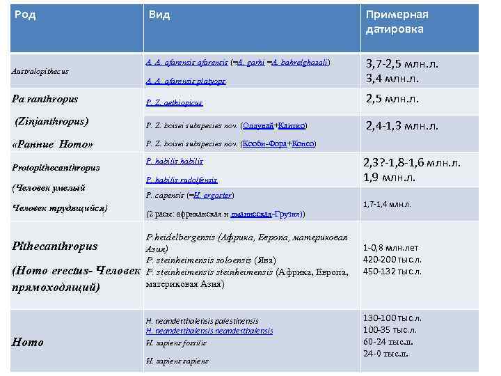 Род Australopithecus Pa ranthropus (Zinjanthropus) «Ранние Homo» Protopithecanthropus (Человек умелый Человек трудящийся) Pithecanthropus (Homo